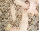 ワンパンカルボナーラ作り方3写真