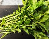 【猫でもできる】大根の葉のお浸し作り方1写真