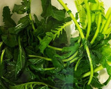 【猫でもできる】大根の漬物【葉、皮、実】作り方3写真