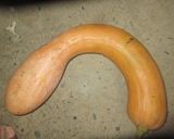 つる首カボチャのムース風作り方1写真