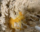 【私のための覚書】栗のパウンドケーキ作り方5写真