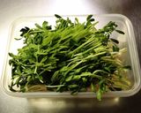 時短ヘルシー☆豆苗ともやしのナムル風作り方1写真