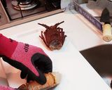伊勢海老とアワビの海鮮ランチ作り方4写真