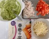 タコス風☆チーズ入り春巻き作り方4写真