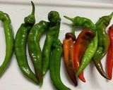 赤堀農場♪ 無限　万願寺とうがらし作り方1写真