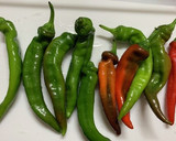 赤堀農場♪ 無限　万願寺とうがらし作り方1写真