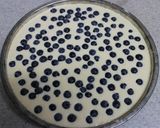 混ぜて焼くだけ♪ブルーベリーチーズタルト作り方9写真