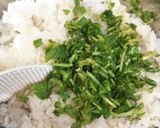 納豆巻かないご飯♪作り方1写真