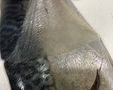 簡単しめ鯖の作り方作り方15写真