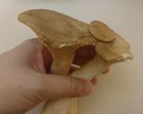おかずスープ☆ミネストローネ作り方2写真