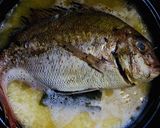 土鍋で簡単ふっくら鯛めしのレシピ♬作り方5写真