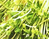 超簡単！美味しい〜！豆苗と豚肉の炒め物作り方5写真