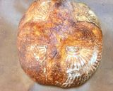 【冷蔵発酵】リスドォルのカンパーニュ作り方27写真