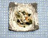 梨とちくわとわかめのサッと和え作り方1写真