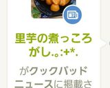 里芋の煮っころがし.｡:+*.作り方9写真