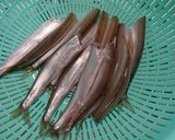 チカの二色フライ作り方10写真