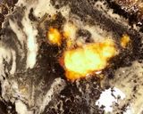 鷄レバーとハートの甘辛煮作り方7写真