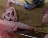 赤舌平目（レンチョウ）の捌き方作り方12写真