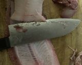 赤舌平目（レンチョウ）の捌き方作り方16写真
