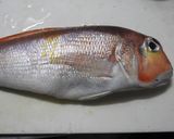 アマダイの松笠焼き・梅チーズペースト添え作り方5写真