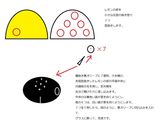 オリジナルモクテル「お花畑」作り方6写真