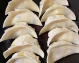 ヨーロッパを丸ごと包んだおつまみ餃子作り方6写真