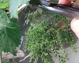 しその実の塩昆布和え作り方1写真