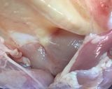 鶏肉の香草焼き作り方3写真