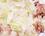 鶏肉のあったか味噌鍋作り方6写真