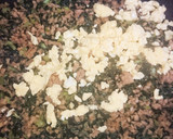 大根の葉で…？　とり卵そぼろ作り方6写真