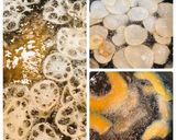 おしゃれなレストラン風ハンバーグ♬作り方4写真