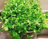豆苗とベーコンのペペロンチーノ作り方1写真
