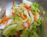 あま〜い　白菜　キムチ　タロの弁当番外編作り方1写真