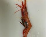 (基本)甘エビのお刺身(ホッコクアカエビ作り方2写真