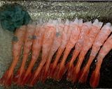 (基本)甘エビのお刺身(ホッコクアカエビ作り方6写真