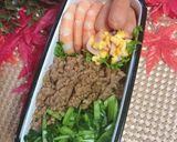 お弁当用やあと1品に♬鶏そぼろ♡ 作り方11写真