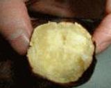ガスレンジで作る!焼き芋作り方4写真