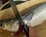 ボラの捌き方から洗いまで、その他諸々作り方12写真