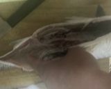 ボラの捌き方から洗いまで、その他諸々作り方21写真