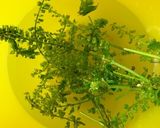 紫蘇の穂の佃煮作り方2写真