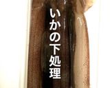 いかの下処理 ワタ抜きから保存まで作り方1写真
