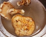 マツタケfromアメリカ☆松茸ホイル焼き作り方2写真