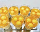 カルピスメロンゼリー作り方7写真