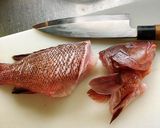 コブダイの造り作り方4写真