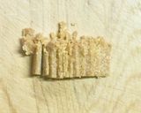 超簡単☆濃厚ミルクコーンクリームコロッケ作り方7写真