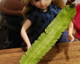 リカちゃん♡四角豆のハムごまマヨ和え*‧作り方1写真