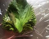塩漬け紫蘇作り方1写真