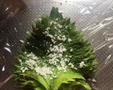 塩漬け紫蘇作り方2写真