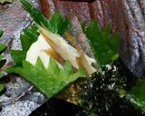 EU×和のコラボ☆ビストロおつまみ 4種作り方11写真