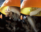 簡単！鮭ときのこのカレークリーム煮♪作り方3写真